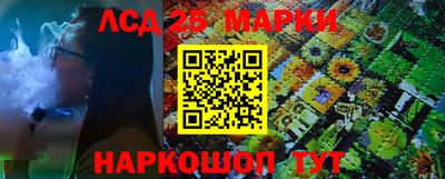 винт Тара