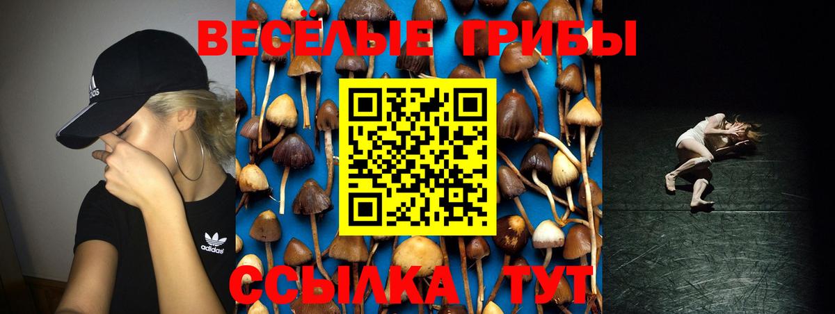 Галлюциногенные грибы Psilocybe Батайск